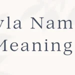 Ayla Name Meaning