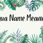 Joshua Name Meaning